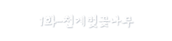 õ躢ɳ